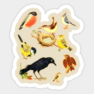 Vintage Styled Birds Illustration Design Sticker